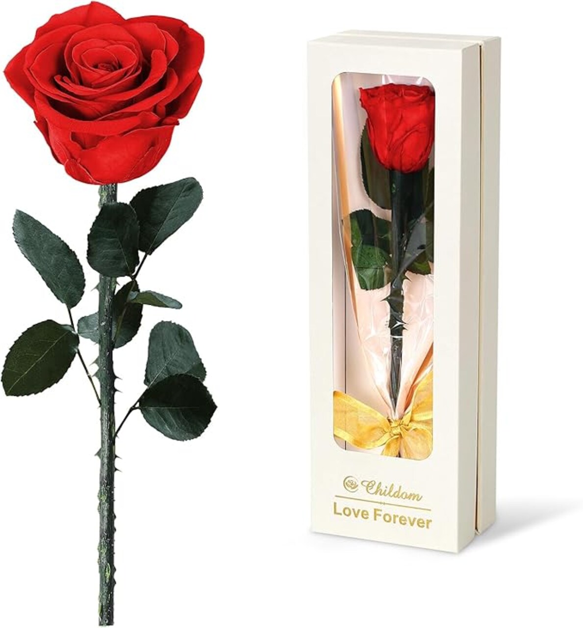 Mothers Day Rose Gifts for Mom,Birthday Gifts for Women,Mothers Day Flowers Gifts for Mom from Daughter Son,Preserved Red Rose Flower Gift for Her,Wife,Grandma,Women,Christmas,Anniversary